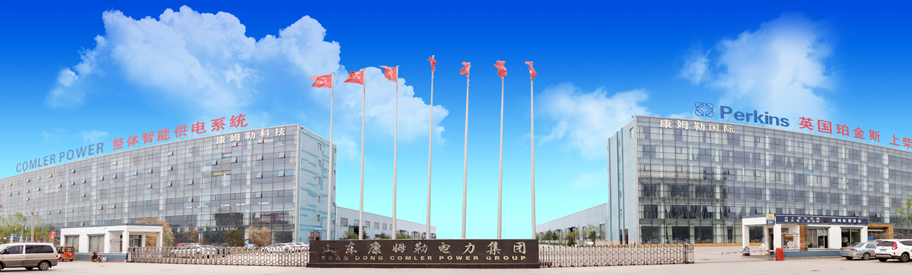 17c永久隐藏入口（lè）電力集團公司（sī）簡介