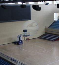 體（tǐ）育館防火木質吸音（yīn）板